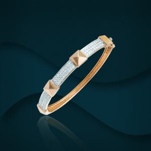 lwd27
